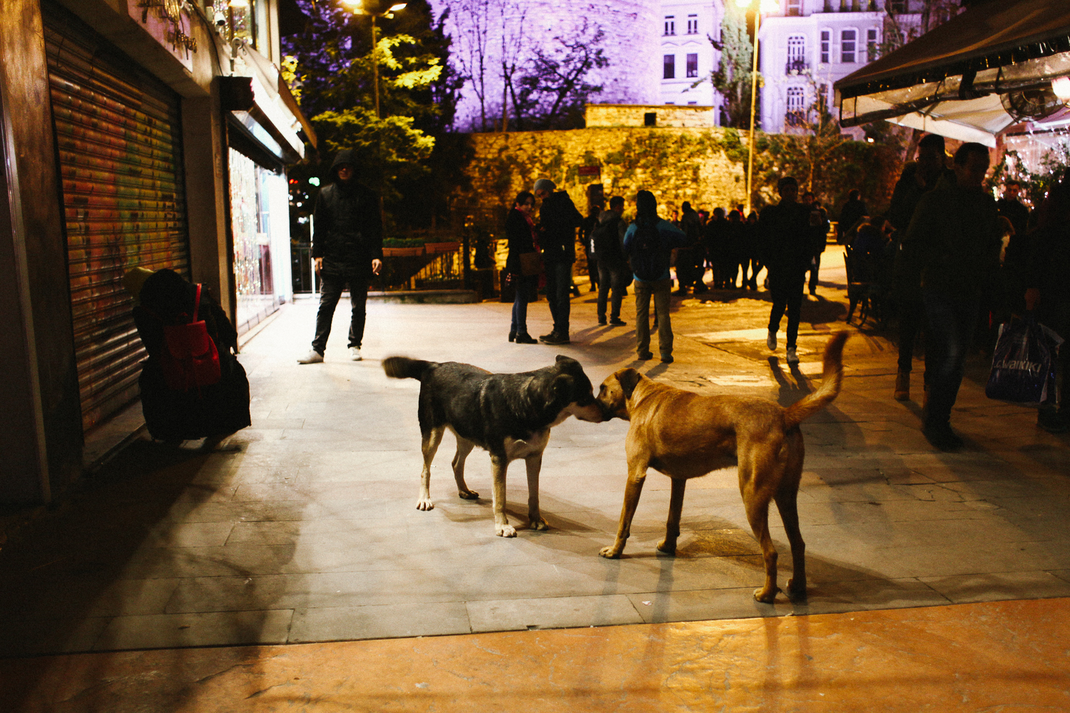 фотограф в Стамбуле - Konstantin Matsvay